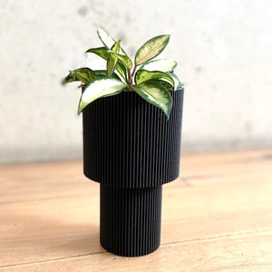 May include: A black, ribbed, cylindrical planter with a smaller, cylindrical base. A green and white plant with variegated leaves is growing in the planter.