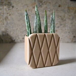 May include: A small, light brown planter with a diamond pattern design. The planter is filled with several green succulent plants.