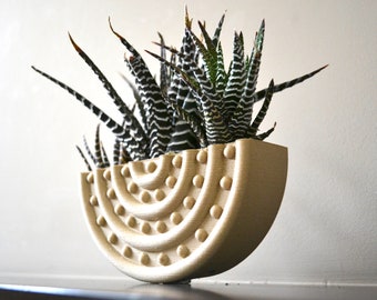 Mid Century Wood ROUNDED STUD Wall Planter