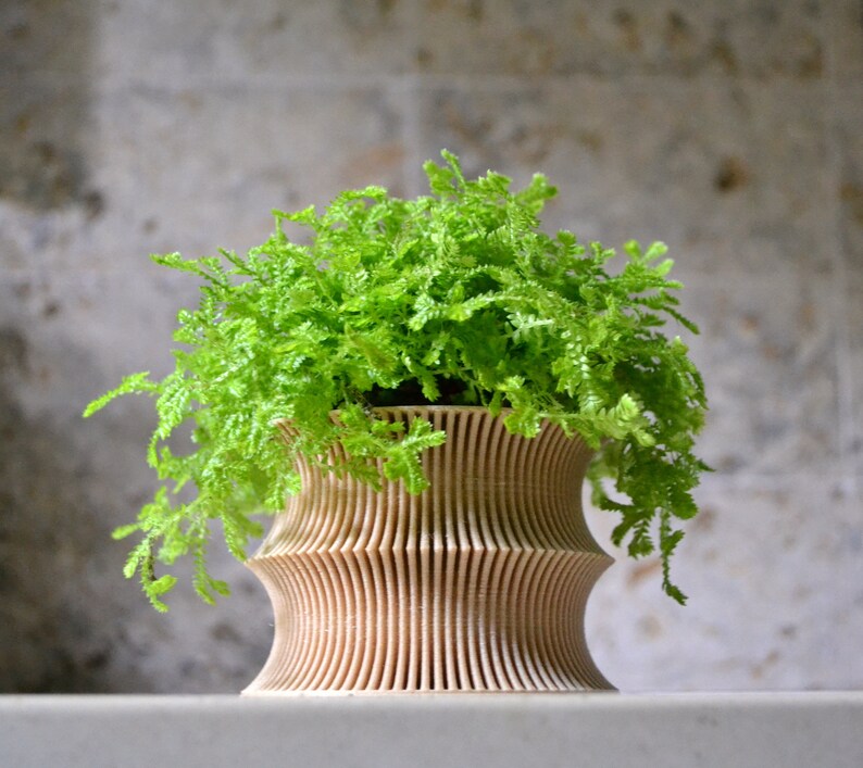 May include: A light brown, wooden planter with a unique, wavy design. The planter is filled with a green fern plant.