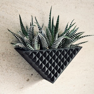 Boho Wall Planter "Prismatic Black" in Black Wood Finish