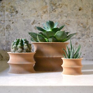 Wooden Planter "Curvy" Mid Century Planter Natural Wood Finish image 8