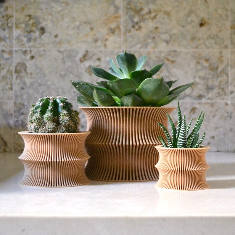 Wooden Planter "Curvy" Mid Century Planter Natural Wood Finish image 8