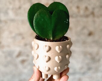 Wood Planter "HEARTS" Natural Wood Color