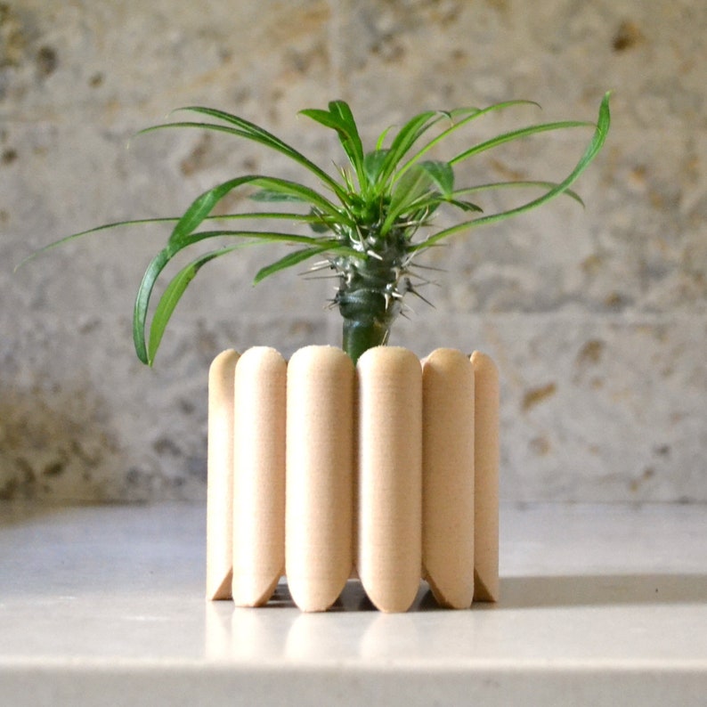 May include: A small, spiky succulent plant in a light brown, ribbed ceramic planter. The planter has a rounded shape and a slightly textured surface.