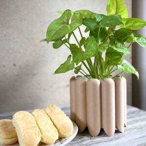 May include: A potted plant with green leaves in a light brown planter with a unique ribbed design.  Four light brown and white sponge cakes are on a white plate.
