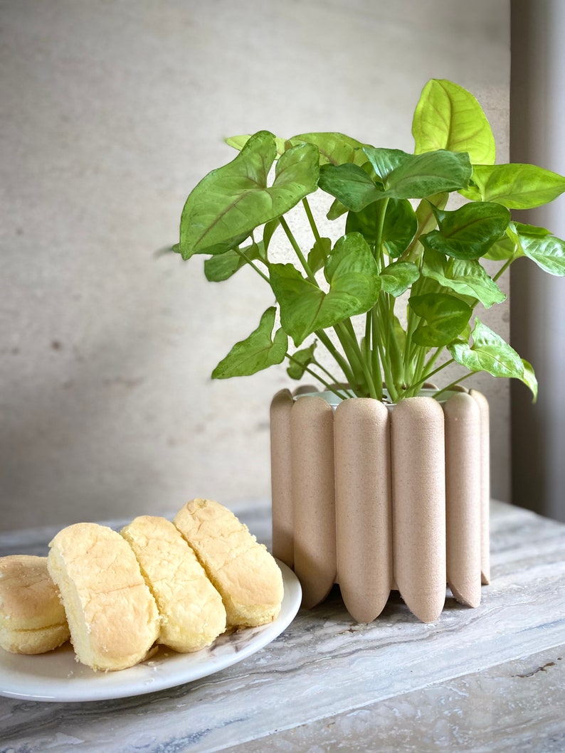 May include: A potted plant with green leaves in a light brown planter with a unique ribbed design.  Four light brown and white sponge cakes are on a white plate.