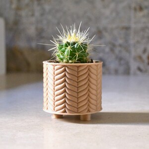 Succulent Planter Set THE CLASSIC TRIO Wood image 7