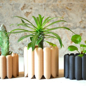 May include: Three potted plants in unique, cylindrical planters made of brown and black cardboard. The planters have a scalloped design.