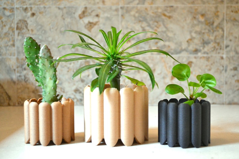 May include: Three potted plants in unique, cylindrical planters made of brown and black cardboard. The planters have a scalloped design.