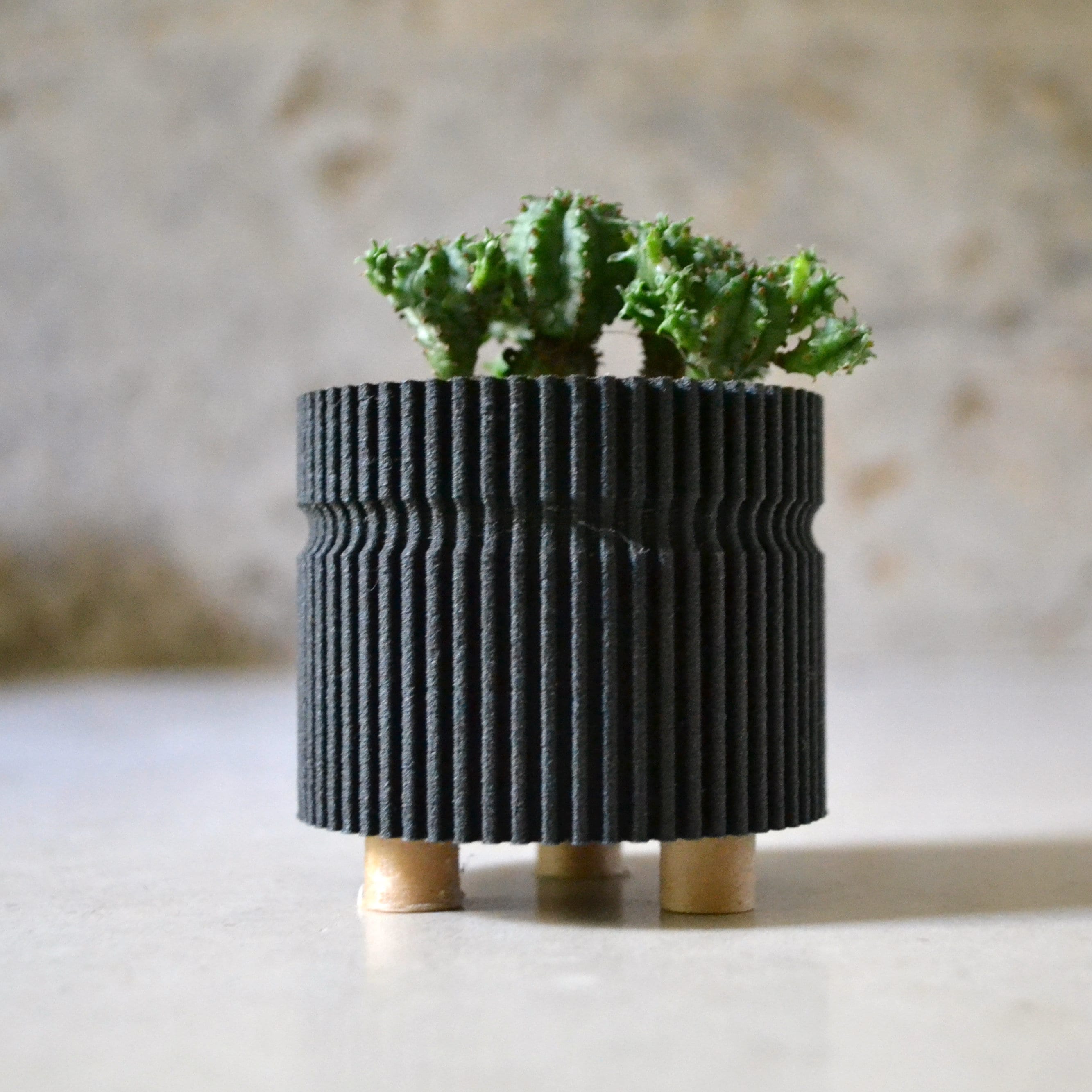 timber crew STAMP PLANTER 黒檀 timber crew STAMP PLANTER 黒檀 timber crew STAMP PLANTER 黒檀