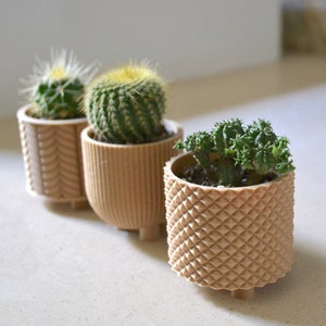 Succulent Planter Set THE CLASSIC TRIO Wood image 3