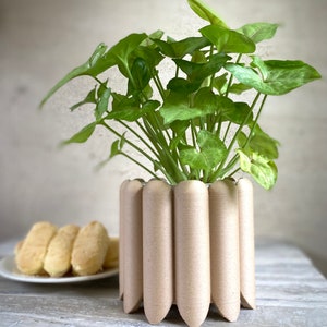 May include: A green leafy plant in a light brown planter with a unique ribbed design. The planter has a rounded shape and a wide base.