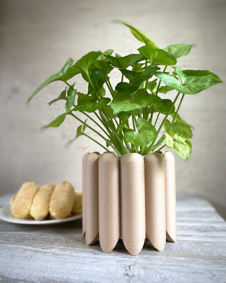 May include: A green leafy plant in a light brown planter with a unique ribbed design. The planter has a rounded shape and a wide base.