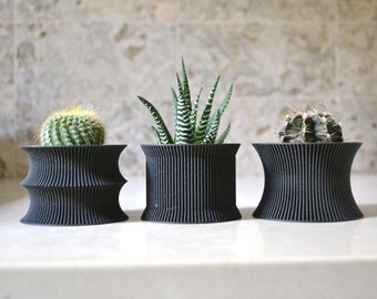 Succulent Planter Set "THE GROOVY TRIO" Black Wood Finish