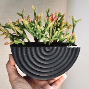 Fioriera da parete in legno "Coiled Black" Mid Century Modern, finitura in legno nero