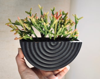 Mid Century Modern COILED BLACK Wall Wood Planter Black Wood Finish