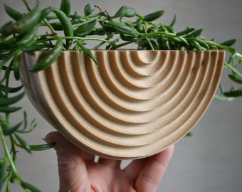 May include: A half-circle wooden planter with a concentric circle design. The planter is light brown and is holding a green succulent plant.