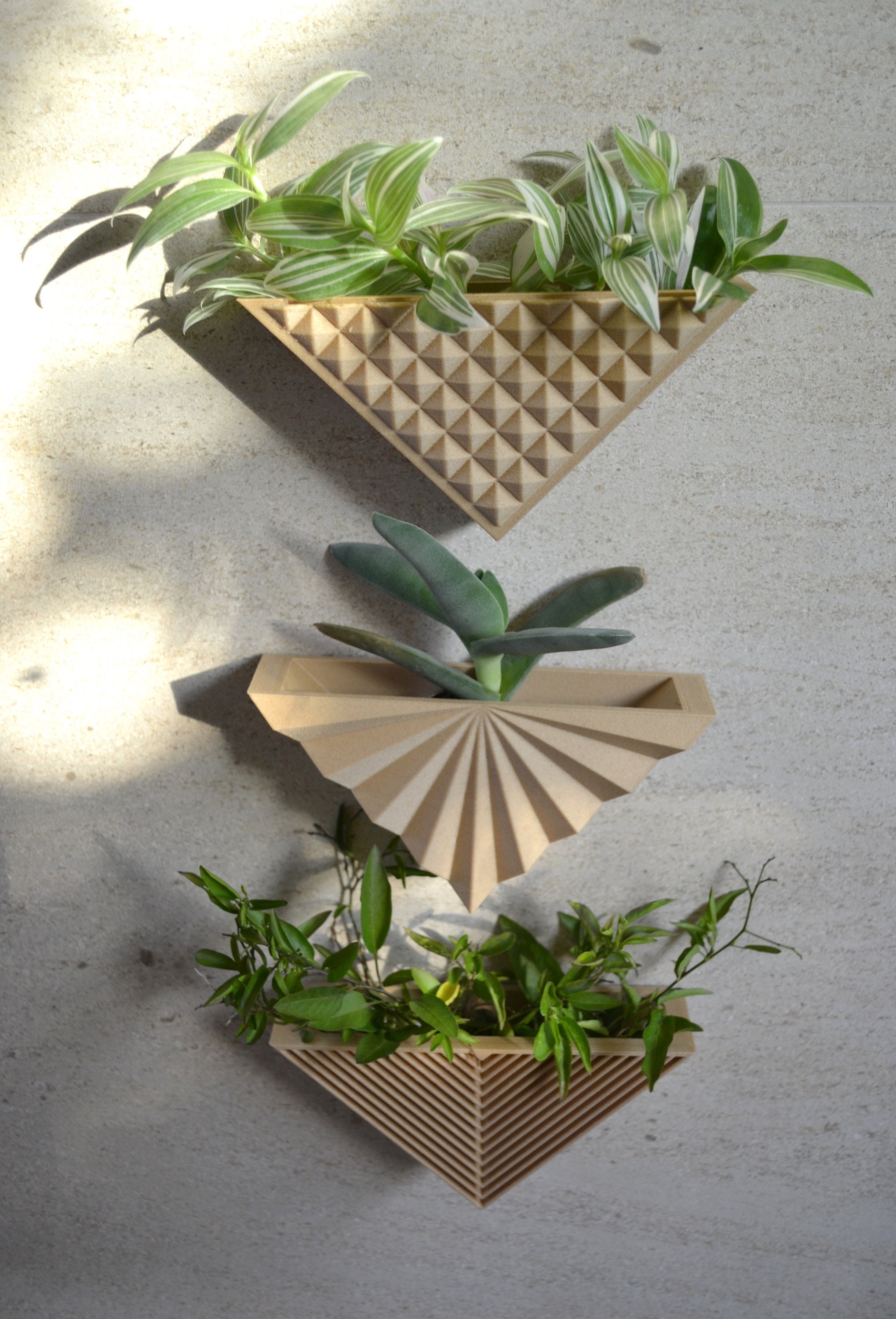 Modern Triangle Set of 3 Wall Wood Planter Etsy Australia