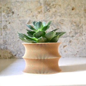 May include: A light brown wooden planter with a wavy design, holding a green succulent plant.