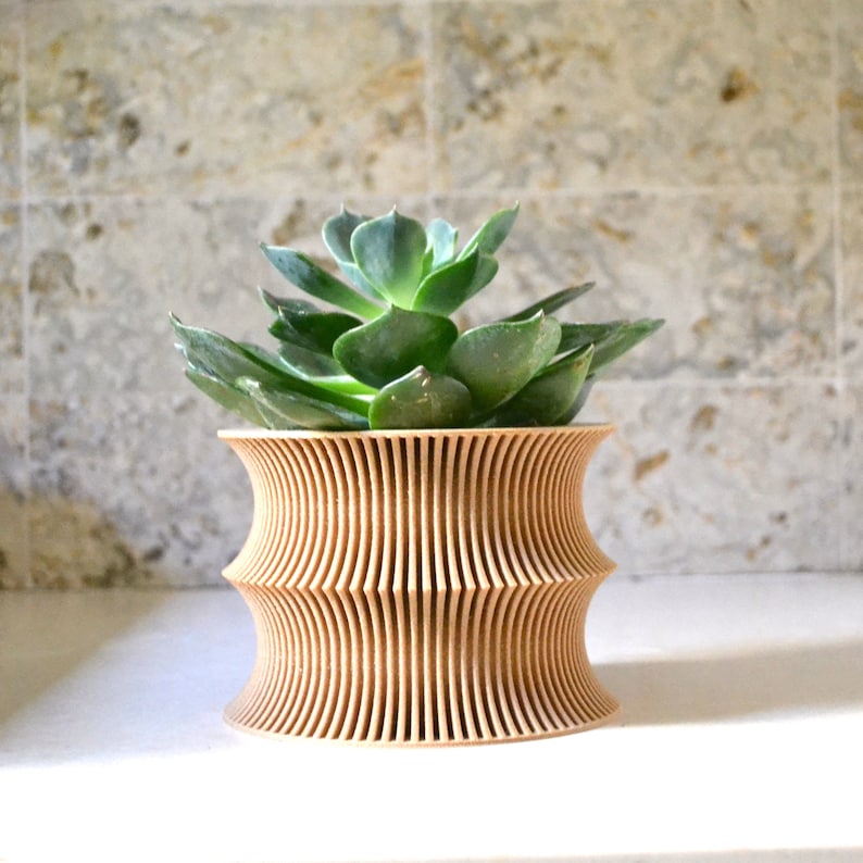 May include: A light brown wooden planter with a wavy design, holding a green succulent plant.
