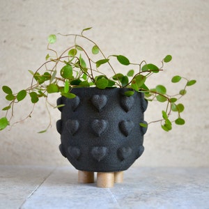 May include: A black planter with a heart-shaped design and wooden legs. The planter is filled with a green plant with trailing vines.