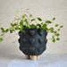 see more listings in the Planters section