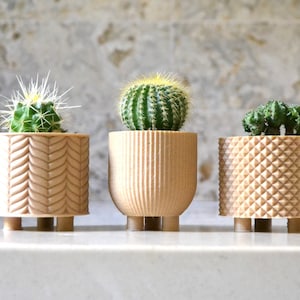 Succulent Planter Set THE CLASSIC TRIO Wood image 1