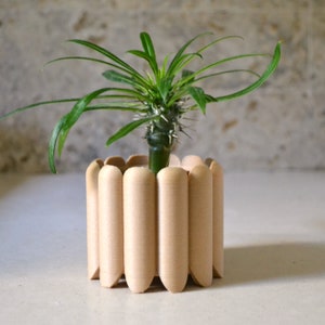 May include: A small green plant with thorns growing in a light brown planter made of stacked, rounded wooden pieces.