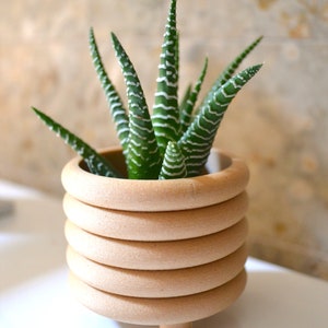 Wood COILED PLANTER Matte Finish Mid Century Indoor Planter imagem 7