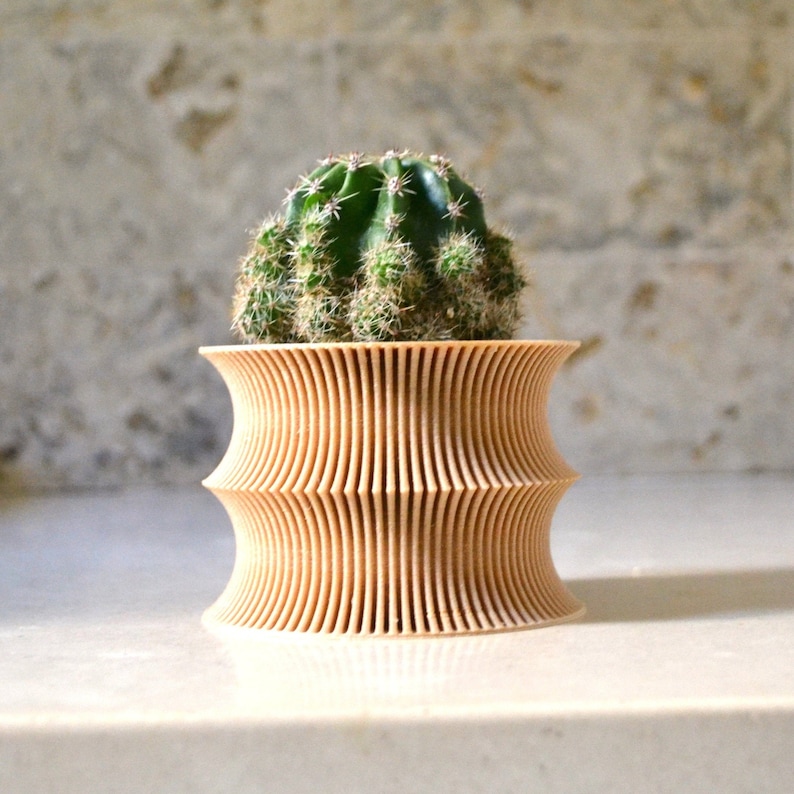 May include: A small cactus plant in a wooden planter with a unique, wavy design. The planter is light brown and has a smooth, polished finish.