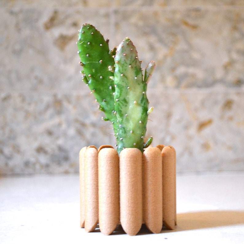 May include: A small cactus plant with green and white stems growing in a brown, cylindrical planter with a scalloped edge.