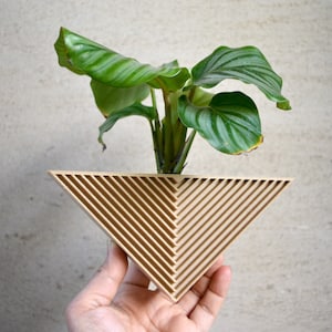 Modern Triangle &quot;Vertex&quot; Wall Planter Natural Wood Finish