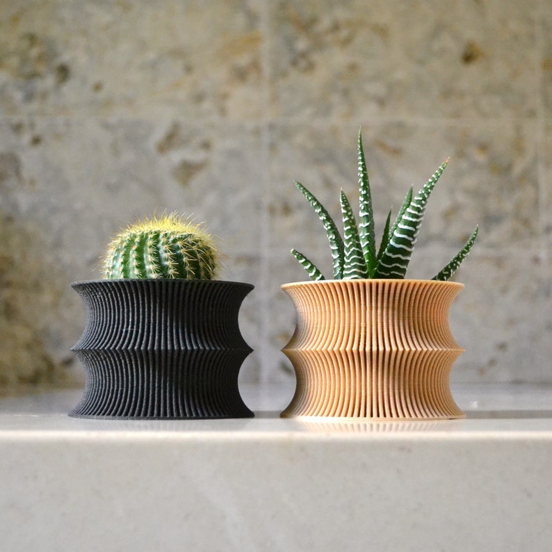 May include: Two different plant pots, one black and one light brown, with a cactus and a succulent plant in them.