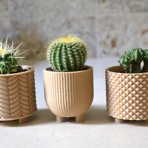 Succulent Planter Set THE CLASSIC TRIO Wood image 2