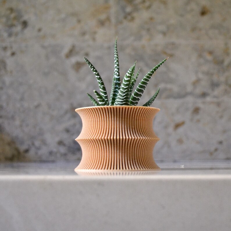 May include: A small, light brown, ceramic planter with a wavy, ribbed design. A green succulent plant with white stripes is growing in the planter.