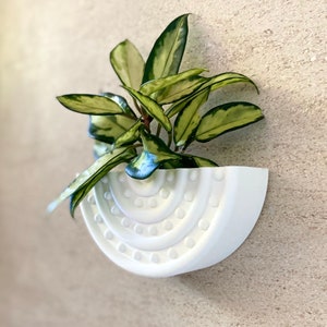 Mid Century Modern Circle "Stud" Wall Planter Off White Finish