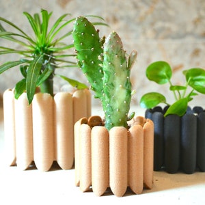 May include: Three potted plants in unique, textured planters. The planters are made of a light brown material and have a ribbed design. One planter is black.