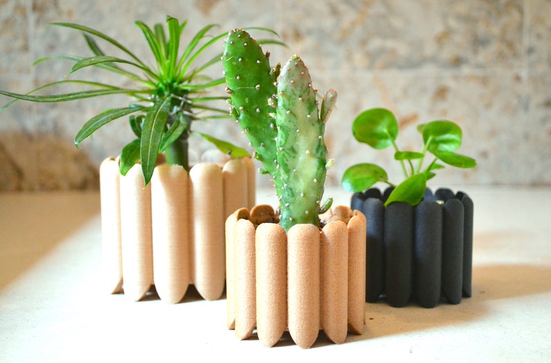 May include: Three potted plants in unique, textured planters. The planters are made of a light brown material and have a ribbed design. One planter is black.