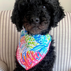 Snap Dog Bandana with Lilly Fabric | Pink or Blue | Preppy Dog | Handmade | Personalized | Dog Gifts | Dog Mom | Dog Dad