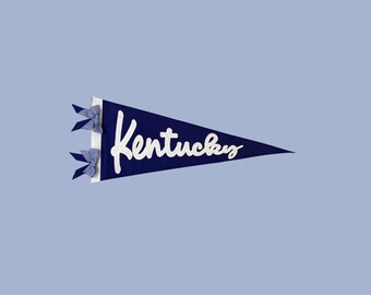 Kentucky Wildcats Pennant Flag | Personalized UK Dorm Decor | Hand Stitched Felt Banner | Graduation Gift | Big Blue Nation Gift