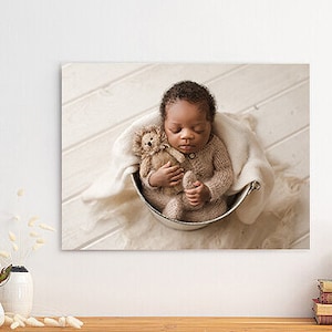 ChromaLuxe Aluminum Wall-Mounted Photo Panels