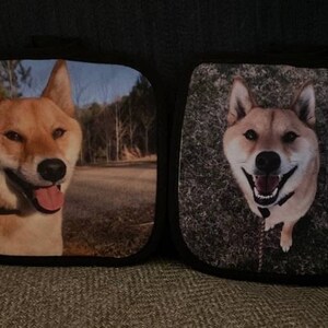 Puede incluir: Dos almohadas cuadradas negras con im&aacute;genes de perros Shiba Inu impresas en ellas. El perro de la izquierda es marr&oacute;n y blanco y mira hacia la derecha. El perro de la derecha es marr&oacute;n y blanco y mira a la c&aacute;mara. El fondo de la almohada de la izquierda es una imagen borrosa de un bosque. El fondo de la almohada de la derecha es una imagen borrosa de hierba.