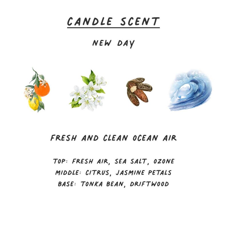 So Beautifully Here/'s To You Doing You Eco-Friendly Virgin Coconut Soy 50 HR Burn Time Luxe Hand-Poured Candle Wooden Wick