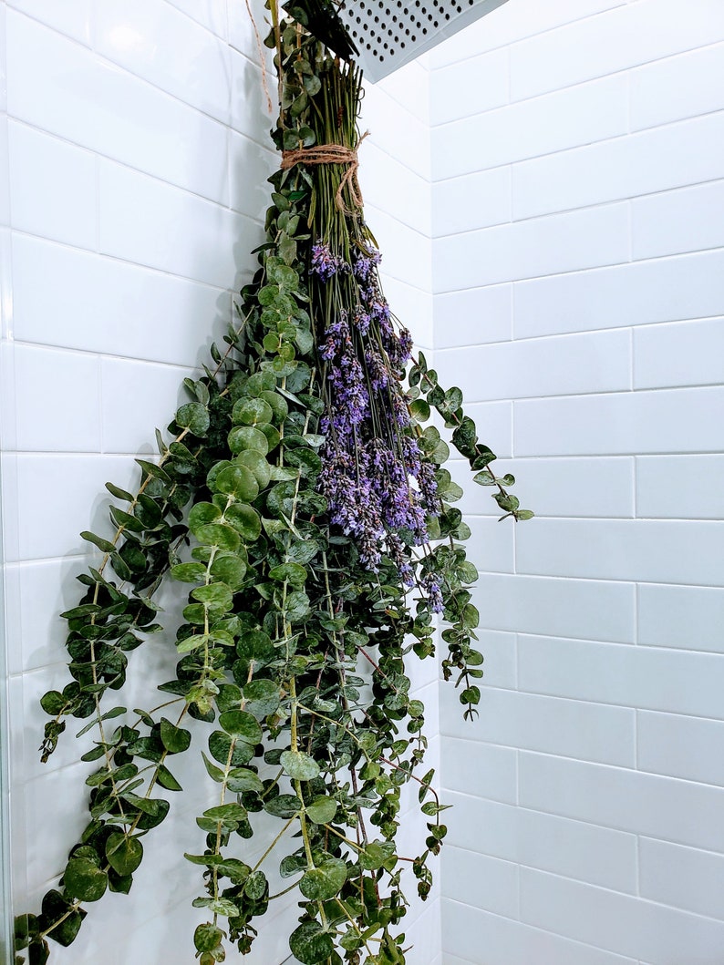 Fresh EUCALYPTUS LAVENDER Shower Aroma Therapy Oil Spa Etsy