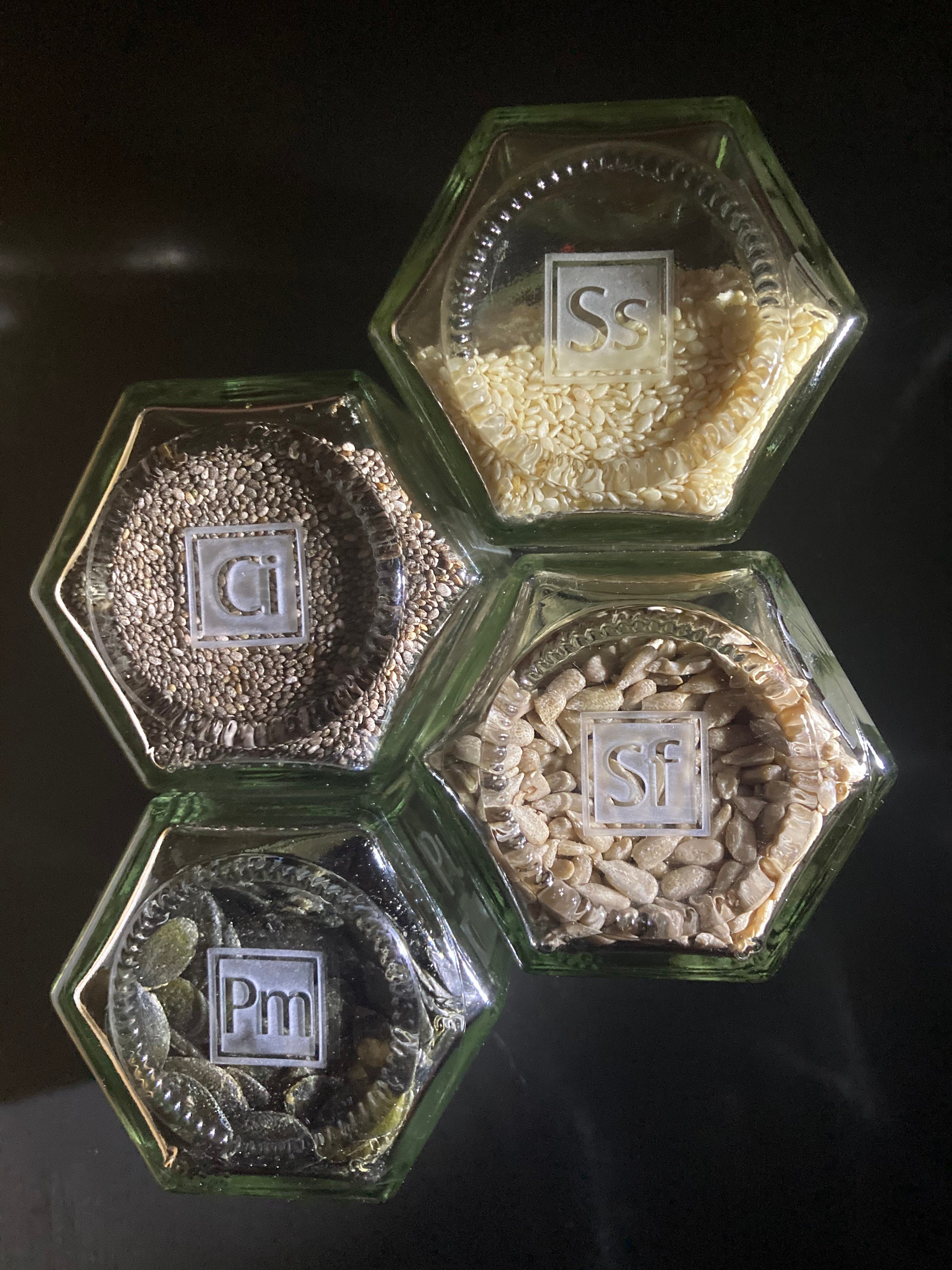 Large Seed Jars Extra Large Spice Jars Spice Rack