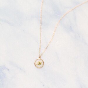 May include: A gold-toned necklace featuring a delicate chain and a circular pendant. The pendant has a thin gold rim and contains a small, pressed white flower with green leaves encased within a clear, smooth, and slightly domed resin material.