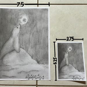 Seal illustration, art print, pencil drawing