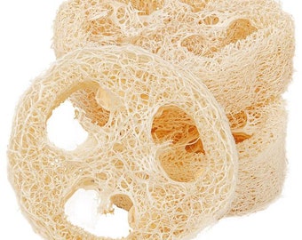 Luffascheibe Luffa