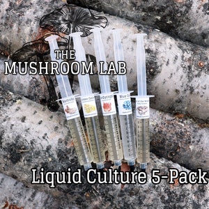 5-Pack of Mushroom Liquid Culture Syringes